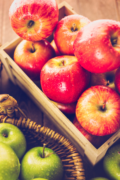 Organik elma çeşitli - Fotoğraf, Görsel