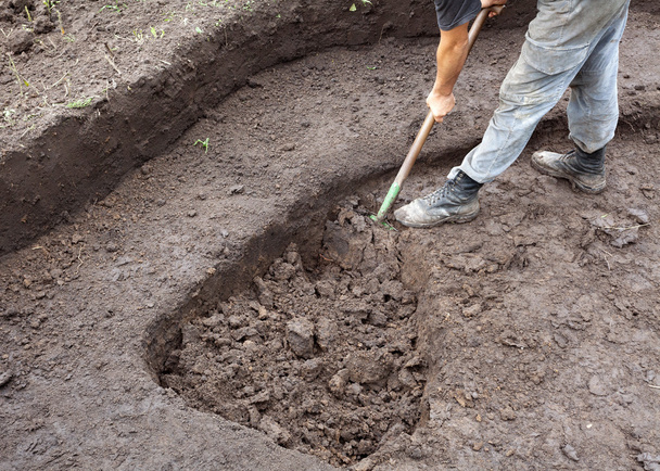 Työntekijä kaivamassa kuoppaa puutarhassa
 - Valokuva, kuva