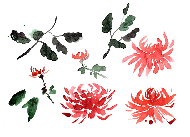 Red chrysanthemum watercolor flowers - Zdjęcie, obraz