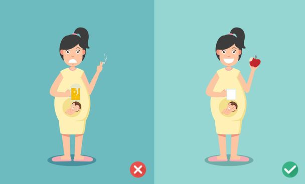 wrong and right for no smoking or drinking when pregnant - Vector, Image