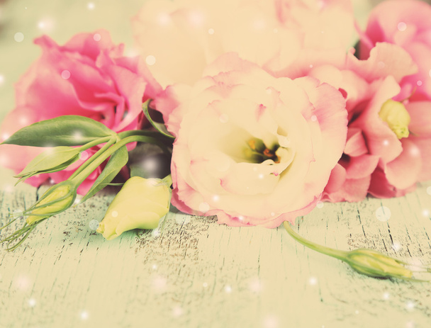 Hermosas flores de eustoma
 - Foto, imagen