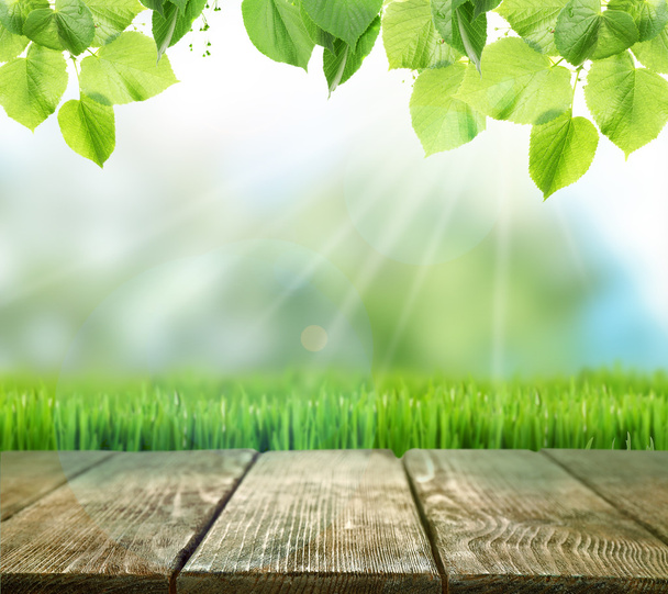 Spring or summer nature background - Photo, Image