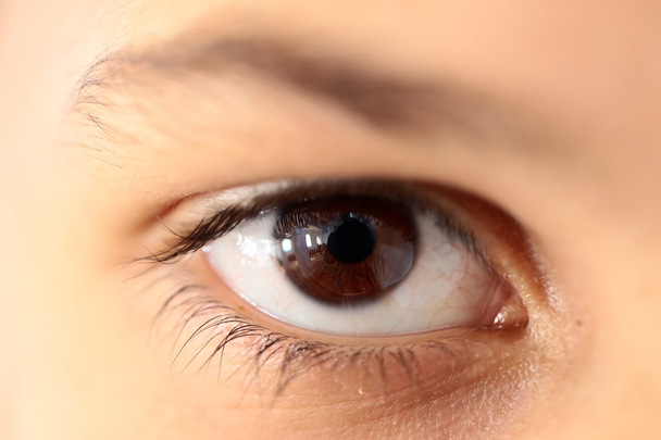 Человеческий глаз крупный план
 - Фото, изображение