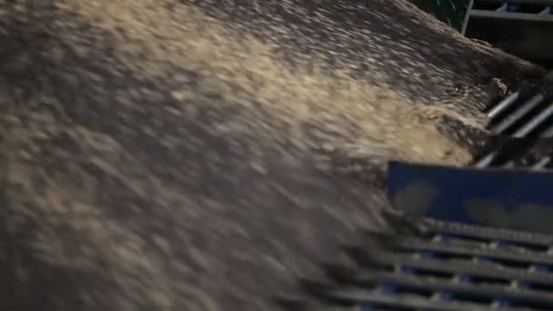 車がアンロードされる穀物レイプ - 映像、動画