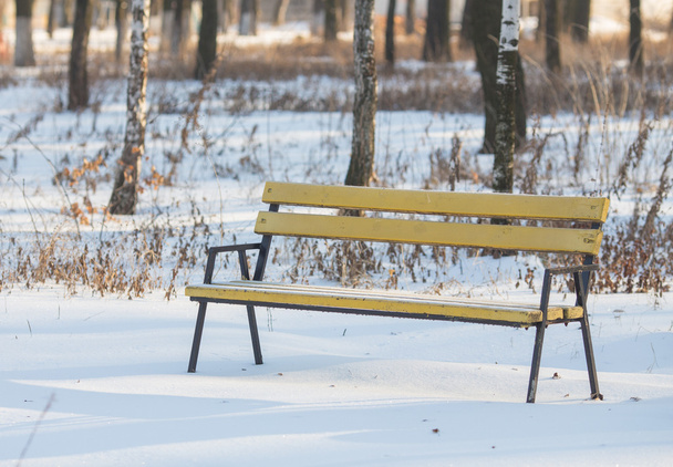 Benches in the winter city park - Zdjęcie, obraz