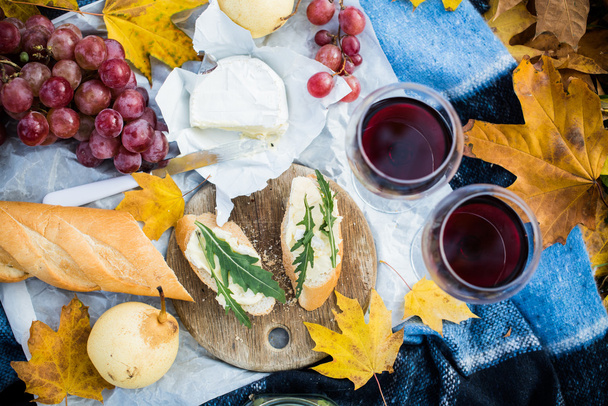 gezellige herfst picknick - Foto, afbeelding