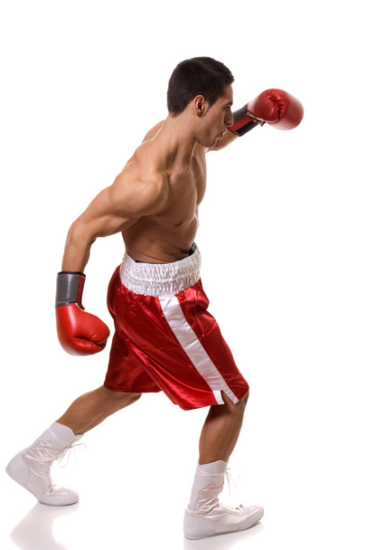 Boxer - Fotografie, Obrázek