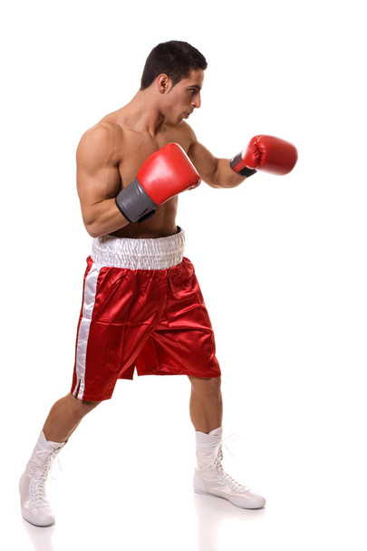 Boxer - Фото, зображення