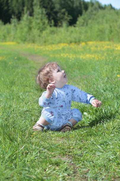 Happy little cute baby sits on green grass near forest - Foto, afbeelding