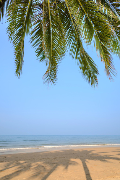 Tropisch strand met coconut palm op zomertijd - Foto, afbeelding
