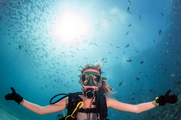 beleza loira mergulhador menina olhando para você enquanto nadava debaixo d 'água
 - Foto, Imagem