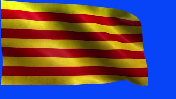 A Catalonia zászló, katalán zászló - La Senyera és L'Estelada - Loop - Felvétel, videó