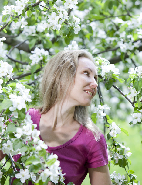Jeune femme attirante debout près du pommier en fleurs
 - Photo, image