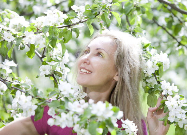 young attractive woman standing near the blossoming apple tree - Photo, Image