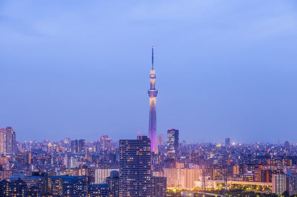 Tokio vista de la ciudad - Foto, imagen
