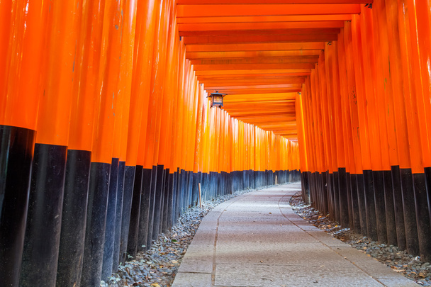 Fushimi Inari Tapınak - Fotoğraf, Görsel