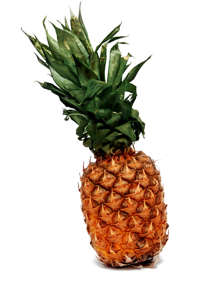 Pineapple - Photo, Image
