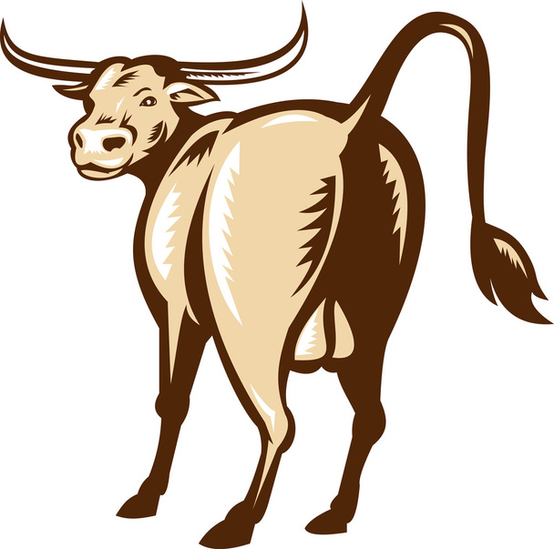 texas longhorn bull rückansicht retro - Foto, Bild