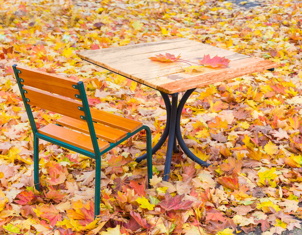 Tisch und Stuhl des Sommercafés inmitten der abgefallenen Blätter - Foto, Bild