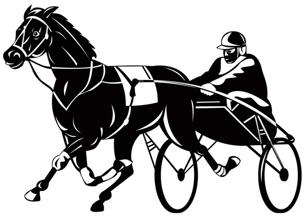 courses de harnais de chevaux et jockey - Photo, image