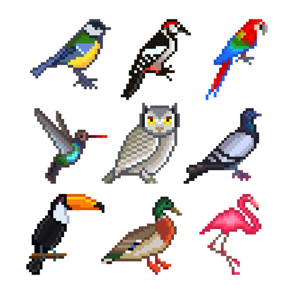 Ptaki pikseli dla gry ikony wektor zestaw - Wektor, obraz