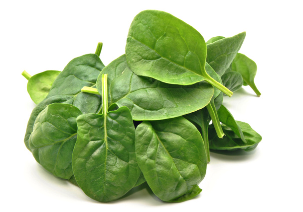 Spinach leaves - Photo, Image