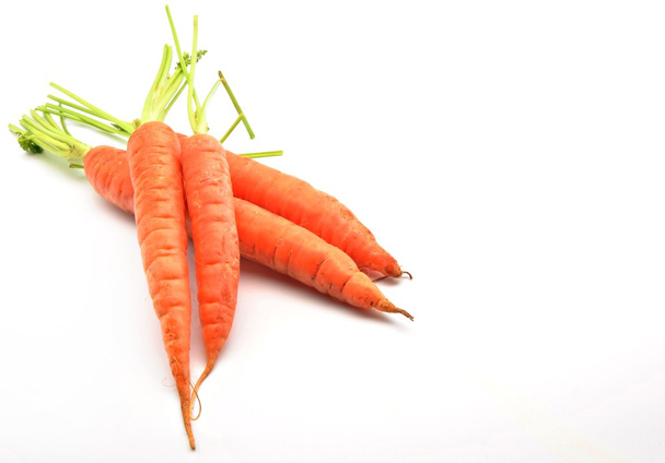 Carrots - Zdjęcie, obraz