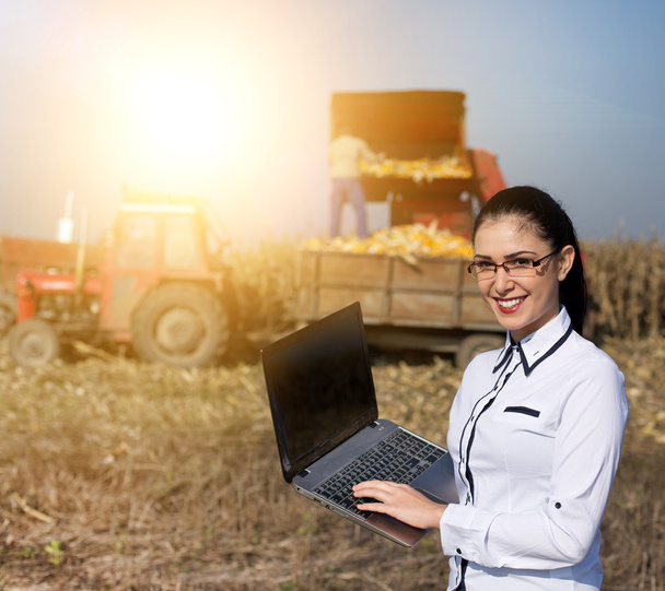 Woman agronomist with laptop in corn field - Photo, Image