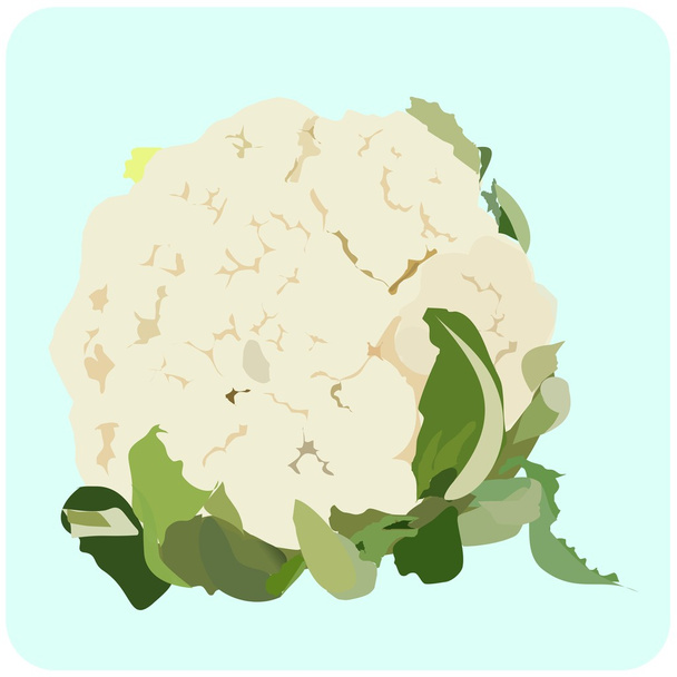illustration of Cauliflower - Vector, Imagen