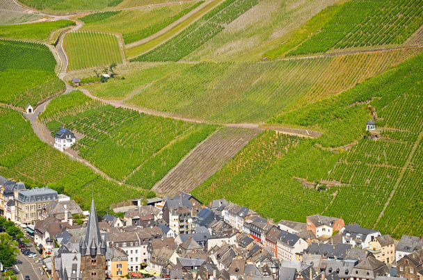 Německo Moselle Valley: Pohled na vinice a zřícenina hradu Landshut poblíž Bernkastel-Kues, Evropa - Fotografie, Obrázek