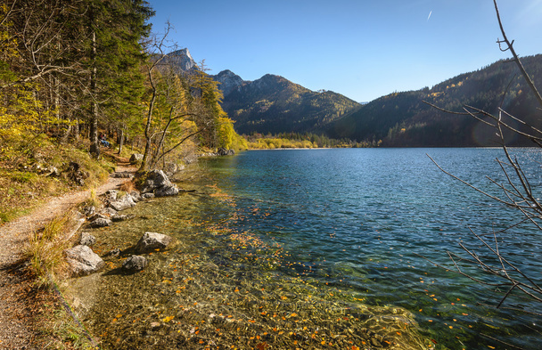 Lake in autumn - Фото, зображення