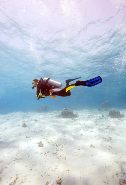 海の底の近くのスキューバダイバーのシルエット - 写真・画像