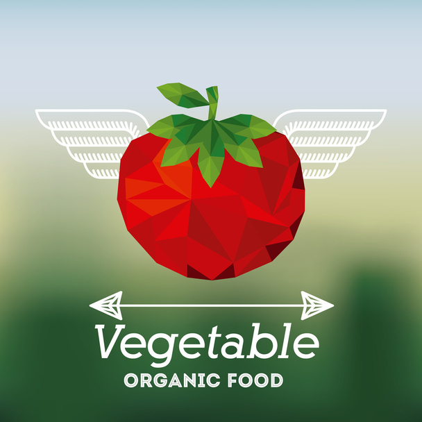 biologisch voedsel ontwerp - Vector, afbeelding