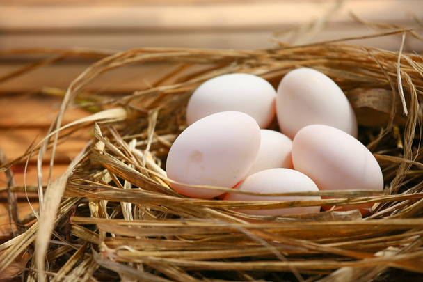 munat pesässä luonnossa, tuoreet munat ruoanlaittoon tai raaka-aineeseen, tuoreet munat tausta
. - Valokuva, kuva