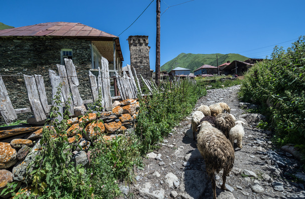 Uschguli in Georgien - Foto, Bild