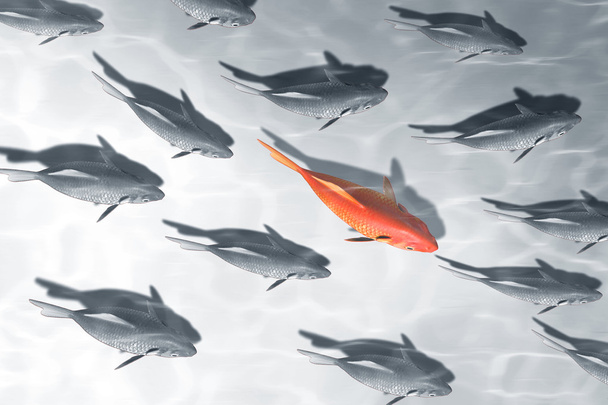 beautiful red fish business background - Foto, afbeelding