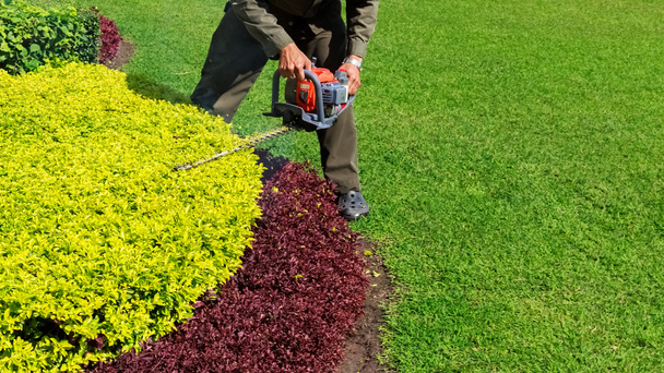 A man trimming shrub with Hedge Trimmer, Green grass copyspace - Photo, Image