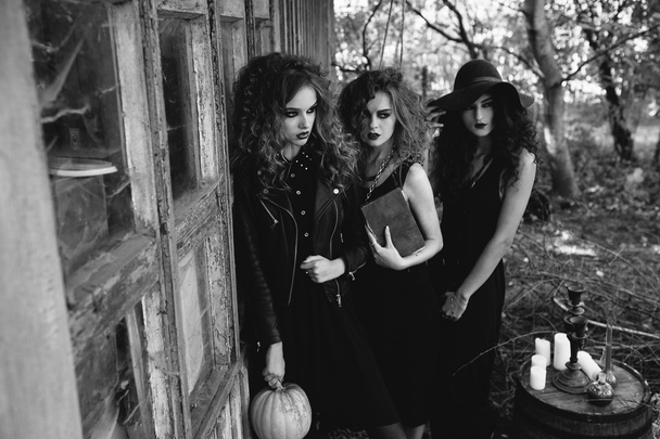 three vintage women as witches - Photo, Image
