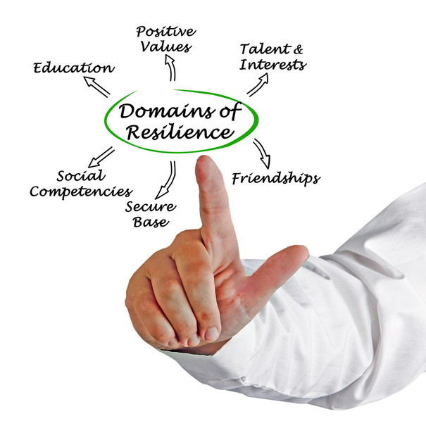 Diagram of Domains of resilience - Photo, Image