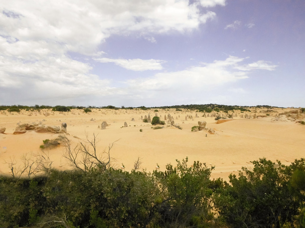 Le désert des Pinnacles en Australie occidentale
 - Photo, image