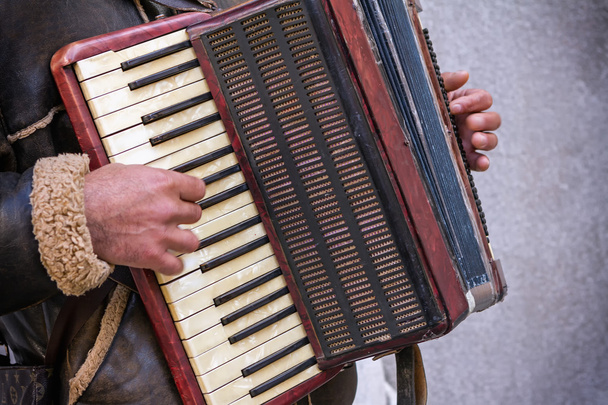 El músico tocando el acordeón
 - Foto, imagen
