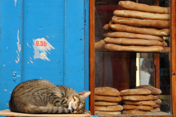 Gato durmiendo cerca del pan
 - Foto, Imagen