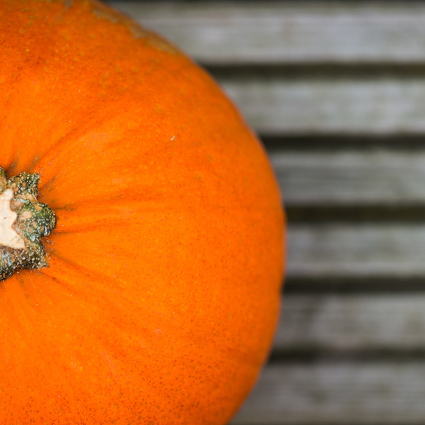 Close up of the Orange Pumpkin as Autumn Concept - Fotó, kép