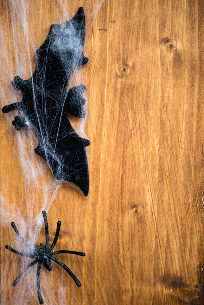 Halloween Symbols Bats, Web and Black Spiders on Wooden Backgrou - Valokuva, kuva
