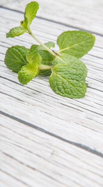 Fresh Mint Leaves - Photo, Image