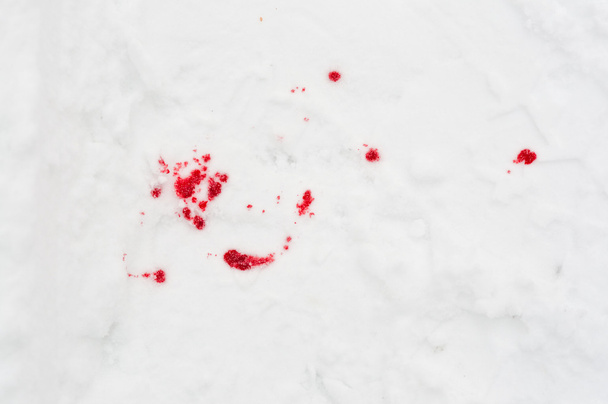 Blood stains in the snow - 写真・画像