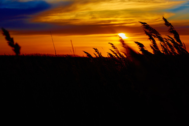 zonsondergang in de steppe. - Foto, afbeelding