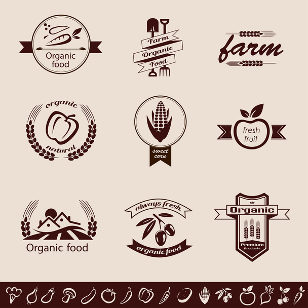 boerderij van biologisch voedsel emblemen en etiketten instellen, groenten pictogrammen colle - Vector, afbeelding