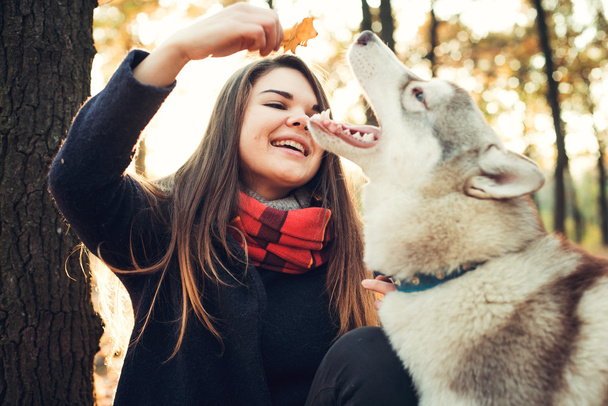 young happy female having fun with siberian husky dog in autumn park during sunset - Фото, изображение