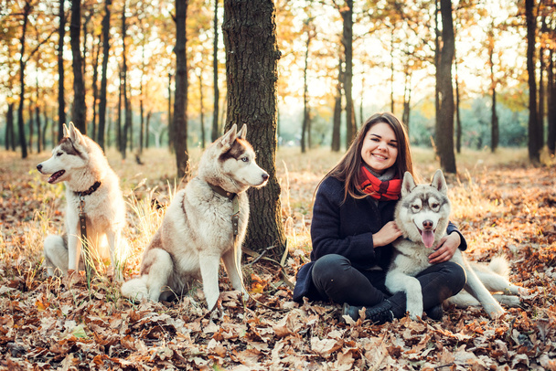 young happy female having fun with three siberian husky dogs in autumn park during sunset - Фото, изображение